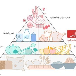 میگو منجمد مهیا پروتئین سایز 50-41 مقدار 450 گرم
