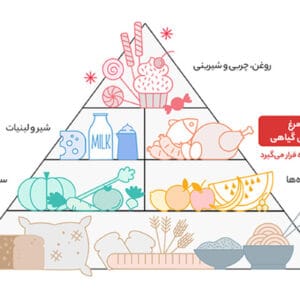 مرغ خرد شده بی پوست مهیا پروتئین مقدار 1.8 کیلوگرم