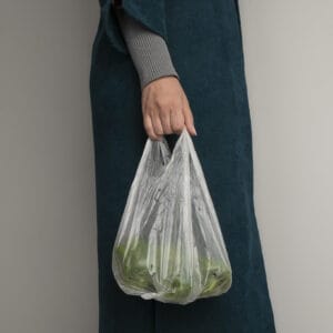 فلفل دلمه سبز Fresh مقدار 500 گرم