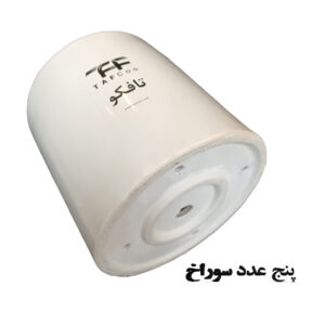 گل طبیعی فیکوس لیراتا آفریقایی تافکو کد 2022