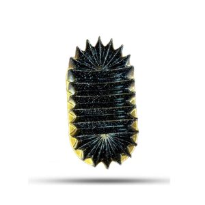 قالب کیک چدن چینی طرح شیاردار
