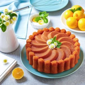 قالب کیک چدن گرانیت طرح پرنسا آرکانیک
